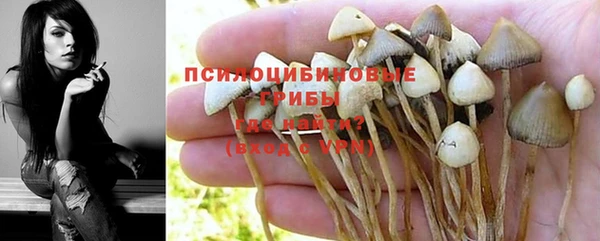 каннабис Алзамай