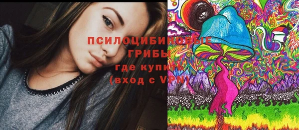 прущие грибы Алексеевка