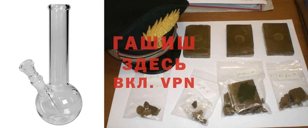 прущие грибы Алексеевка
